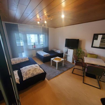 Einzimmerwohnungmit Grossem Balkon Mietersheim Экстерьер фото